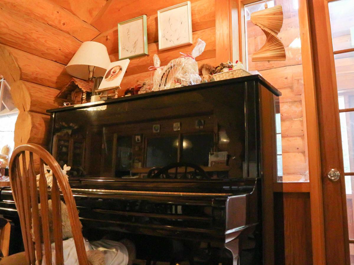 Canadian Loghouse Inn Azuminoyujin Buitenkant foto